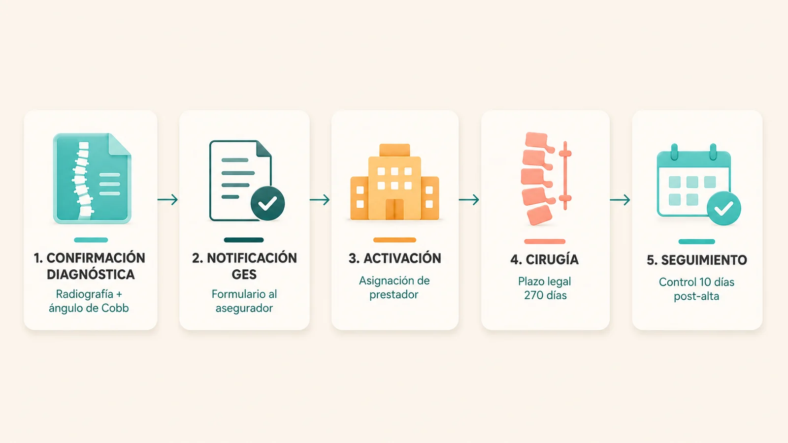Cinco pasos del proceso GES para escoliosis en menores de 25 años ilustrados como tarjetas horizontales en estilo editorial flat: confirmación diagnóstica, notificación, activación, cirugía y seguimiento post-alta
