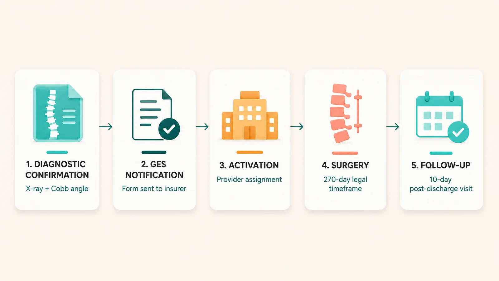 Five steps of the GES process for scoliosis in people under 25 illustrated as horizontal cards in editorial flat style: diagnostic confirmation, notification, activation, surgery and post-discharge follow-up